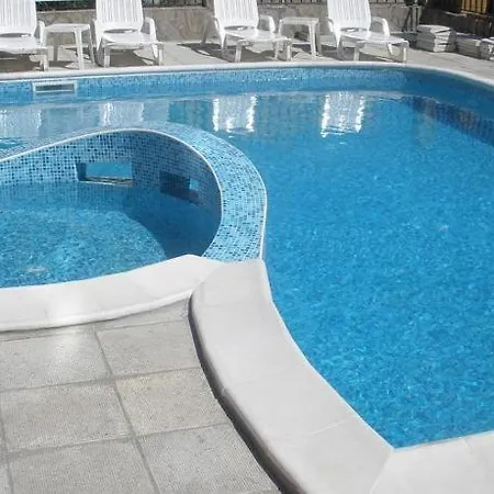 Abelia Regina Słoneczny Brzeg