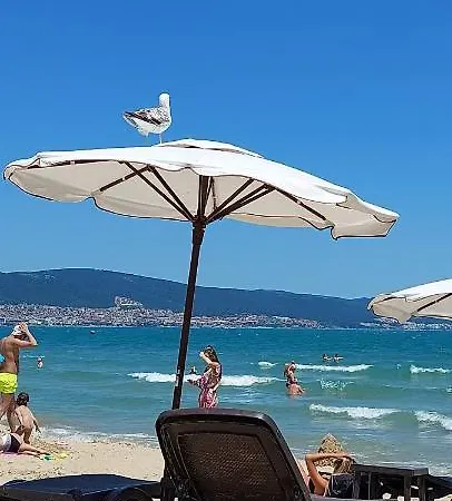 Abelia Regina Apartament Słoneczny Brzeg