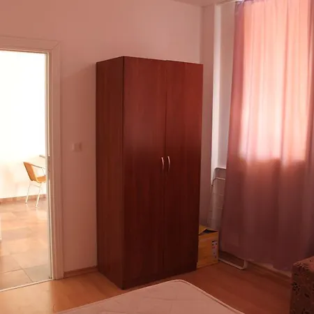 Abelia Regina * Słoneczny Brzeg