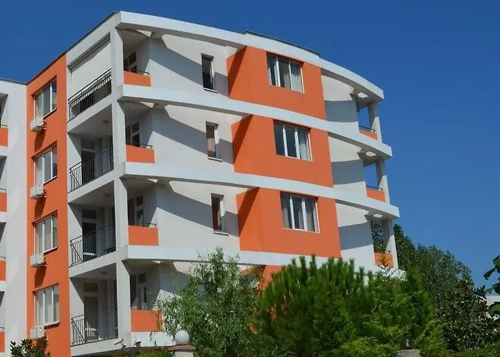 Abelia Regina סאני ביץ'