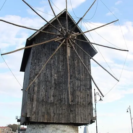 Abelia Regina Slantschew brjag