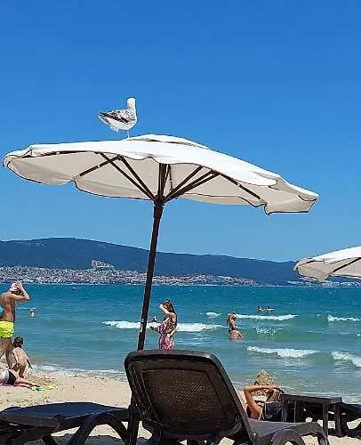 Abelia Regina Apartment Sunny Beach