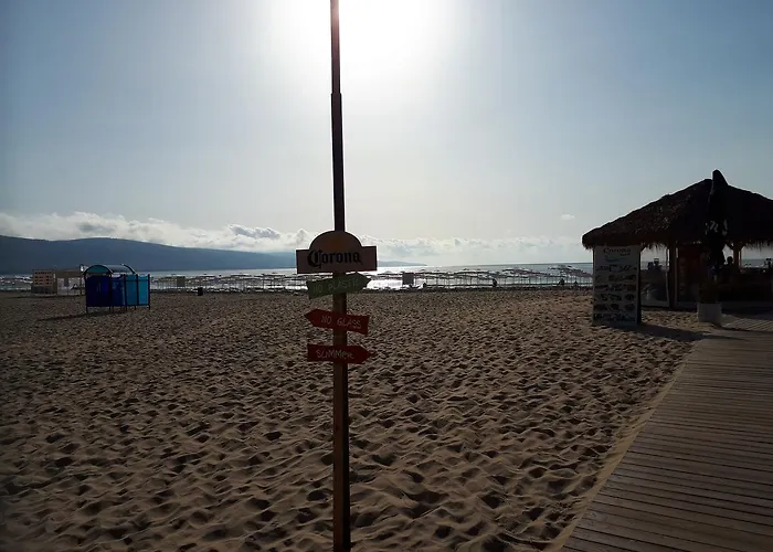 Abelia Regina * Солнечный берег