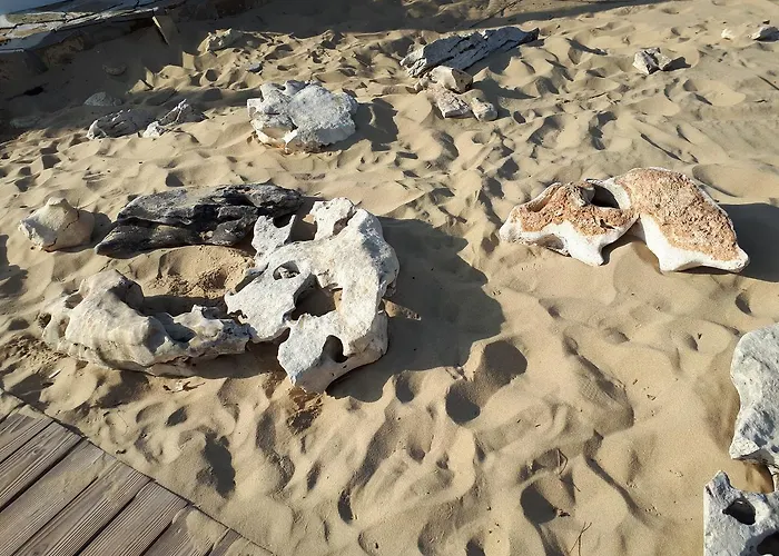 Abelia Regina Апартаменты